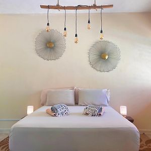 Shamalay - Nomad Experience
